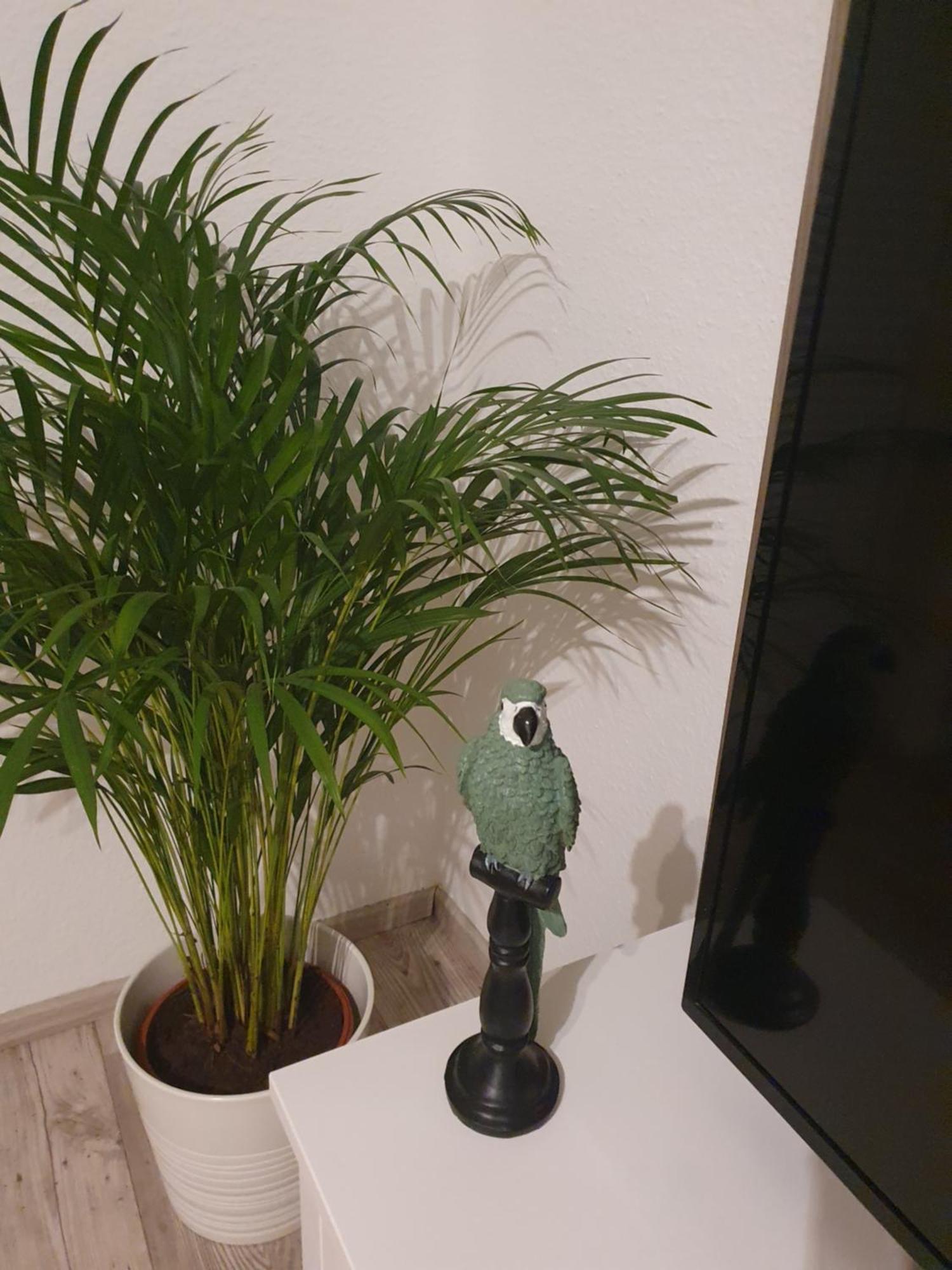 Charmante Haushaelfte Mit Garten Und Terrasse Flensbourg Chambre photo